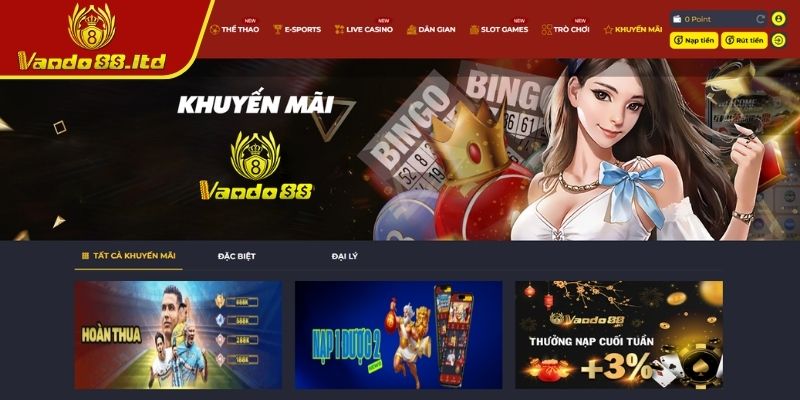 Sơ lược về Khuyến mãi VanDo88
